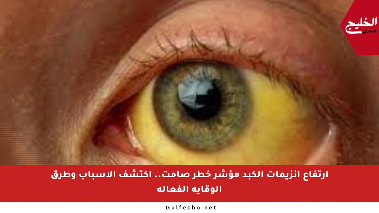 ارتفاع إنزيمات الكبد مؤشر خطر صامت.. اكتشف الأسباب وطرق الوقاية الفعالة